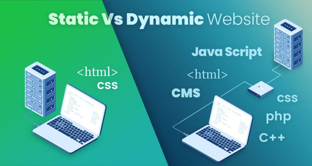 Difference Between Static and Dynamic Website